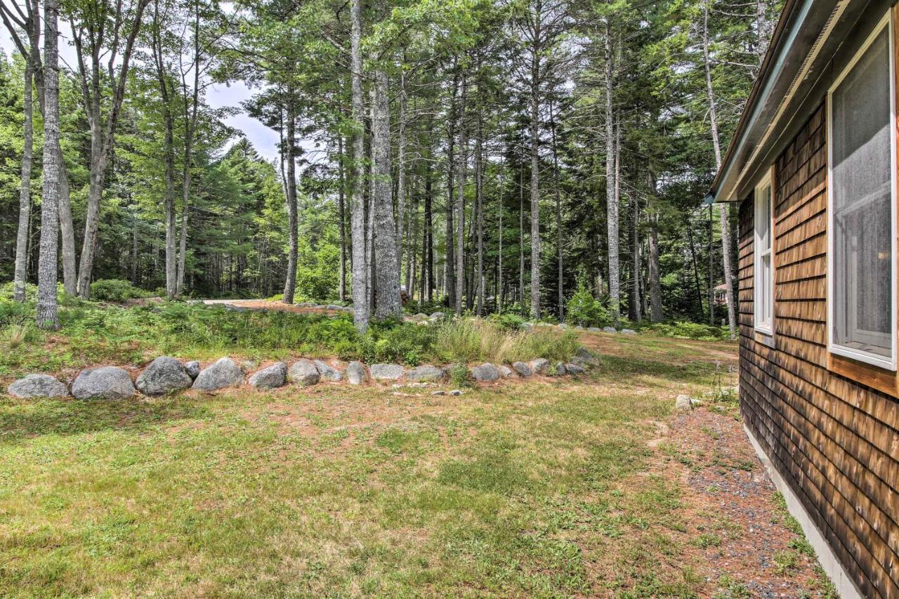 Hidden Gem Cottage Near Blue Hill Peninsula Brooklin Екстериор снимка